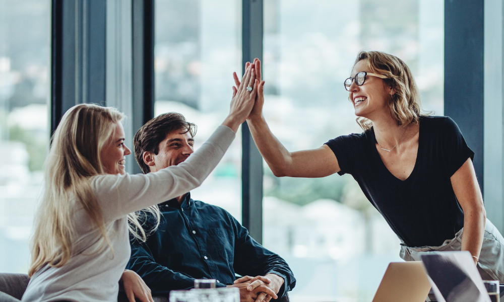 webinar skillvue
